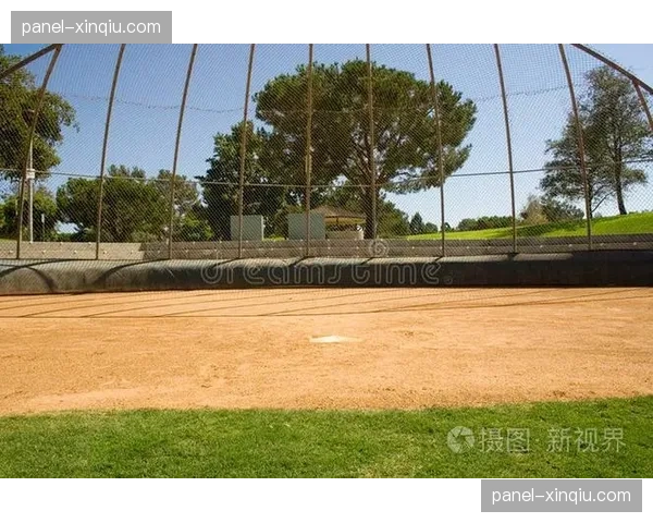 春训趣味镜头：皇家队新秀在击出本垒打后，于本垒板与队友庆祝时踩空滑倒